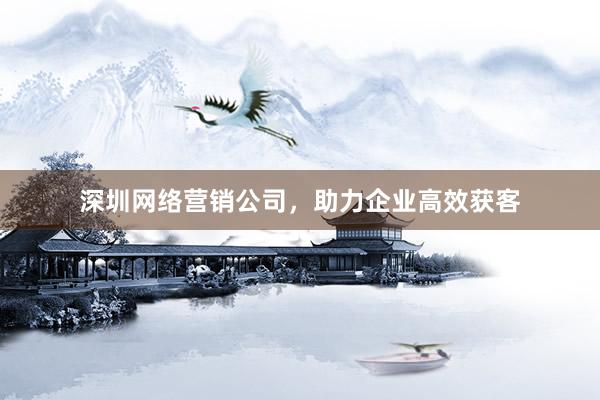 深圳网络营销公司，助力企业高效获客