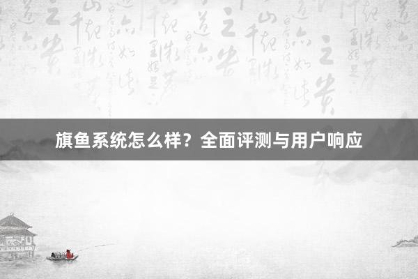 旗鱼系统怎么样？全面评测与用户响应