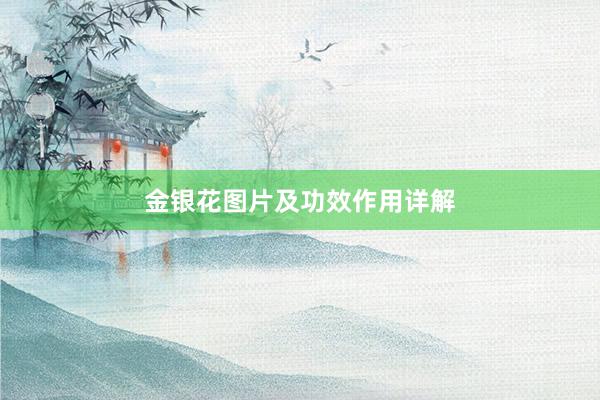 金银花图片及功效作用详解