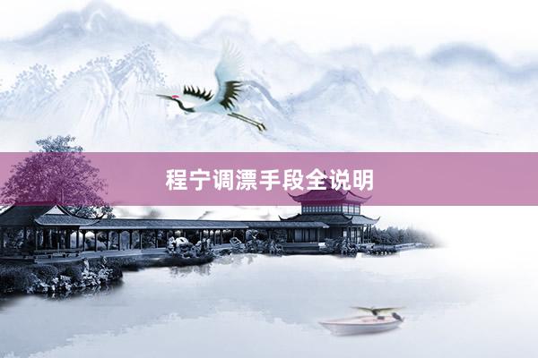 程宁调漂手段全说明