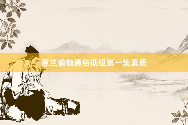 蕙兰瑜伽通俗低级第一集素质
