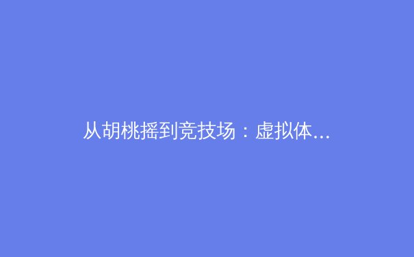 从胡桃摇到竞技场：虚拟体育如何重塑现代健身文化 - 2